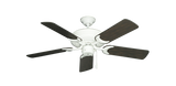 44 inch Raindance Outdoor Ceiling Fan