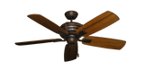raindace
