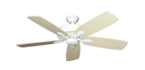 raindace
