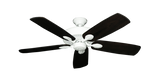 raindace