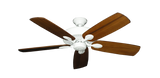 raindace