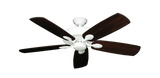 raindace