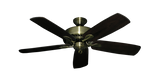 raindace