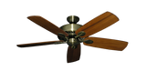 raindace