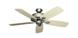 raindace