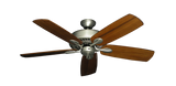 raindace