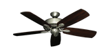 raindace