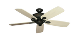 raindace