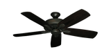 raindace