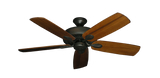raindace