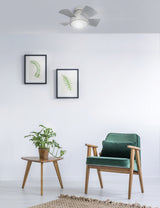 26 inch Vox Flush mount Ceiling Fan - Matte White Finish