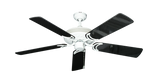 raindace