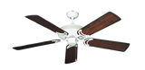 raindace