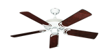 raindace