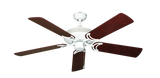 raindace