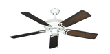 raindace