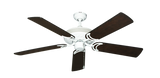 raindace