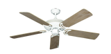 raindace