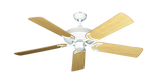 raindace
