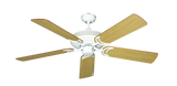 raindace