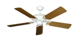 raindace