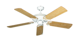 raindace