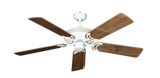 raindace