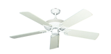 raindace