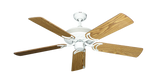 raindace