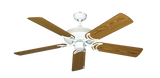 raindace