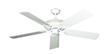 raindace
