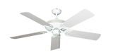 raindace