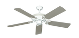 raindace