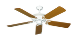 raindace
