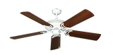 raindace