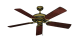 raindace