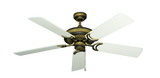 raindace