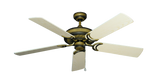 raindace