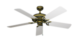 raindace