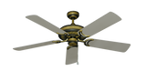 raindace