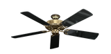 raindace