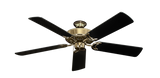 raindace