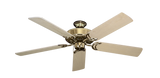 raindace