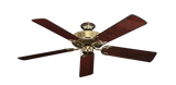 raindace