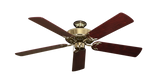 raindace