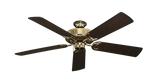 raindace