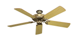 raindace