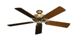 raindace
