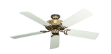 raindace