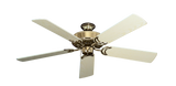 raindace